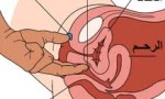 اثارة الزوجه من منطقه البظر بوت